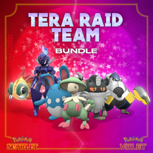 Tera Raid Team Bundle