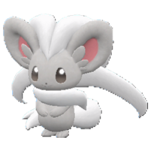 Cinccino